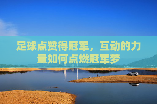 足球点赞得冠军,互动的力量如何点燃冠军梦