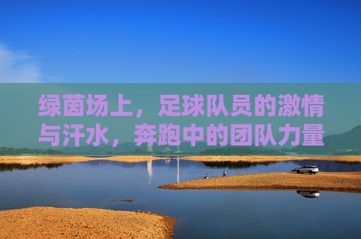 绿茵场上，足球队员的激情与汗水，奔跑中的团队力量