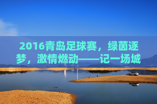 2016青岛足球赛,绿茵逐梦,激情燃动——记一场城市与足球的激情碰撞