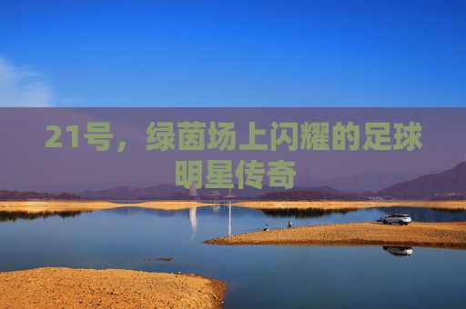 21号，绿茵场上闪耀的足球明星传奇