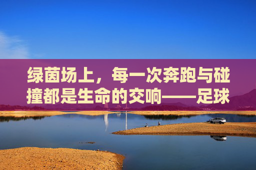 绿茵场上,每一次奔跑与碰撞都是生命的交响——足球赛动作描写,绿茵场上,每一次奔跑与碰撞都是生命的交响——足球赛动作描写