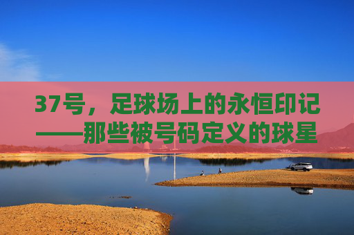 37号，足球场上的永恒印记——那些被号码定义的球星传奇