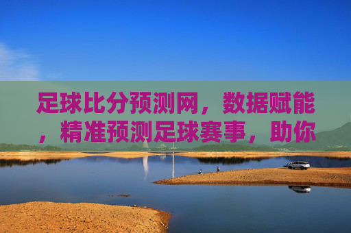 足球比分预测网,数据赋能,精准预测足球赛事,助你把握每一场精彩