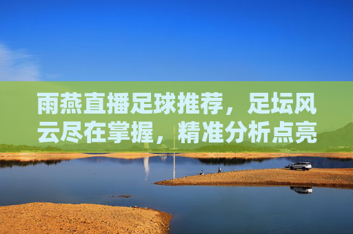 雨燕直播足球推荐，足坛风云尽在掌握，精准分析点亮足球激情
