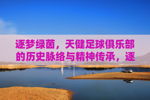 逐梦绿茵,天健足球俱乐部的历史脉络与精神传承,逐梦绿茵,天健足球俱乐部的历史脉络与精神传承