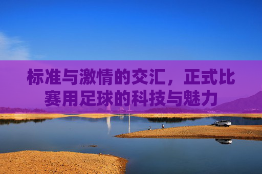 标准与激情的交汇,正式比赛用足球的科技与魅力