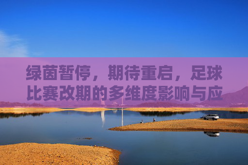 绿茵暂停,期待重启,足球比赛改期的多维度影响与应对