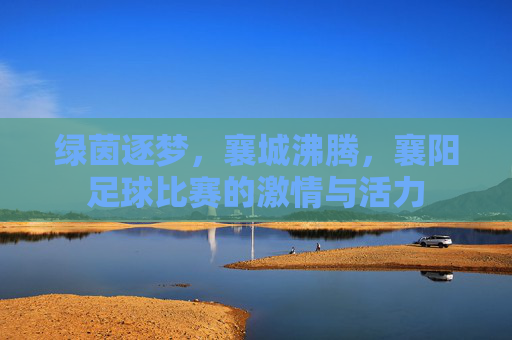 绿茵逐梦，襄城沸腾，襄阳足球比赛的激情与活力