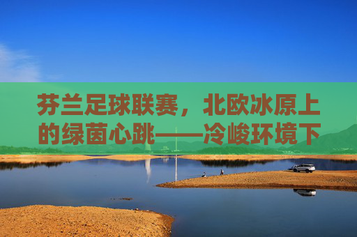 芬兰足球联赛，北欧冰原上的绿茵心跳——冷峻环境下的激情与传承，芬兰足球联赛，北欧冰原上的绿茵心跳——冷峻环境下的激情与传承