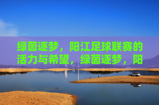 绿茵逐梦，阳江足球联赛的活力与希望，绿茵逐梦，阳江足球联赛的活力与希望