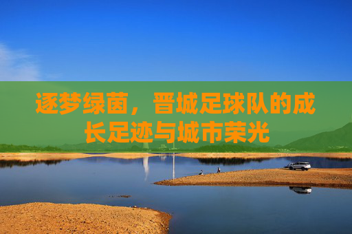 逐梦绿茵,晋城足球队的成长足迹与城市荣光