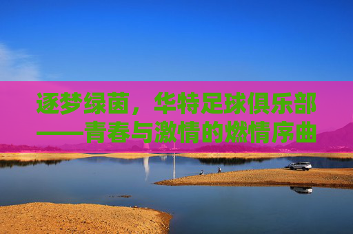 逐梦绿茵,华特足球俱乐部——青春与激情的燃情序曲