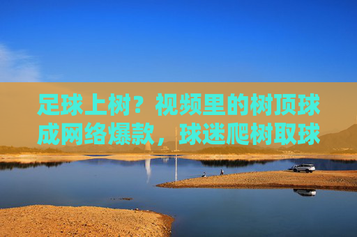 足球上树？视频里的树顶球成网络爆款，球迷爬树取球笑翻网友，足球上树？树顶球成网络爆款，球迷爬树取球笑翻网友