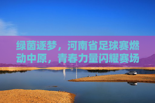 绿茵逐梦,河南省足球赛燃动中原,青春力量闪耀赛场,绿茵逐梦,河南省足球赛燃动中原,青春力量闪耀赛场