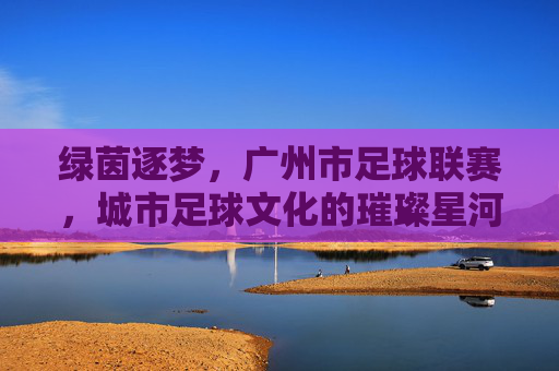 绿茵逐梦,广州市足球联赛,城市足球文化的璀璨星河,绿茵逐梦,广州市足球联赛,城市足球文化的璀璨星河