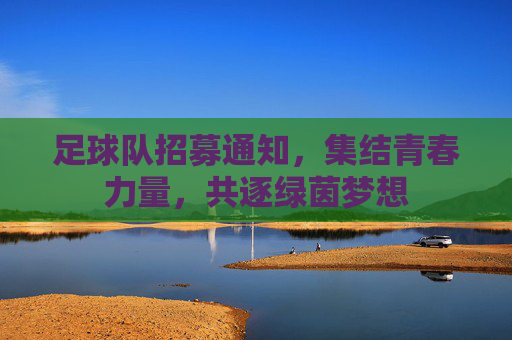 足球队招募通知,集结青春力量,共逐绿茵梦想