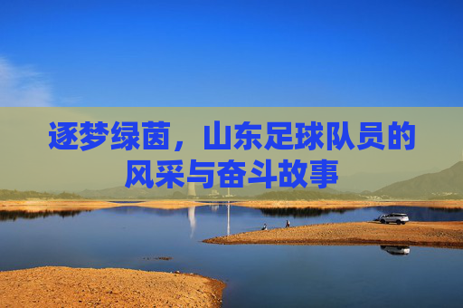 逐梦绿茵,山东足球队员的风采与奋斗故事
