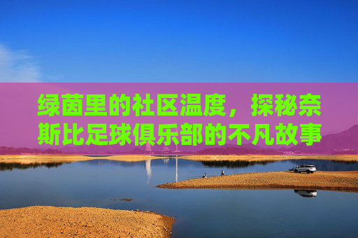 绿茵里的社区温度，探秘奈斯比足球俱乐部的不凡故事，绿茵里的社区温度，探秘奈斯比足球俱乐部的不凡故事