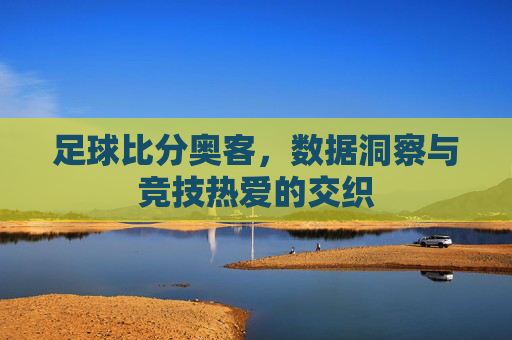 足球比分奥客,数据洞察与竞技热爱的交织