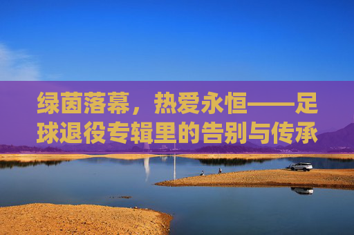 绿茵落幕，热爱永恒——足球退役专辑里的告别与传承，绿茵落幕，热爱永恒——足球退役专辑里的告别与传承