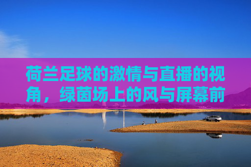 荷兰足球的激情与直播的视角,绿茵场上的风与屏幕前的共鸣