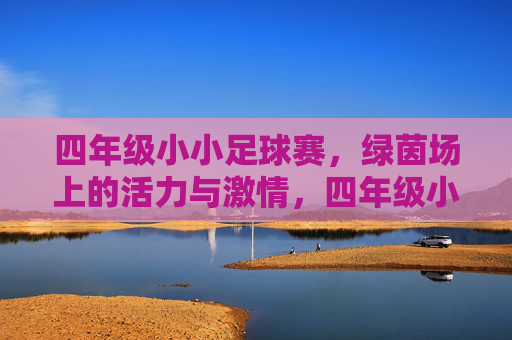 四年级小小足球赛，绿茵场上的活力与激情，四年级小小足球赛，绿茵场上的活力与激情