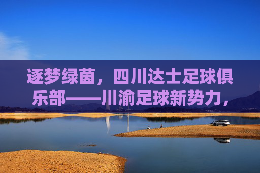 逐梦绿茵，四川达士足球俱乐部——川渝足球新势力，青春与激情的集结地，逐梦绿茵，四川达士足球俱乐部——川渝足球新势力，青春与激情的集结地