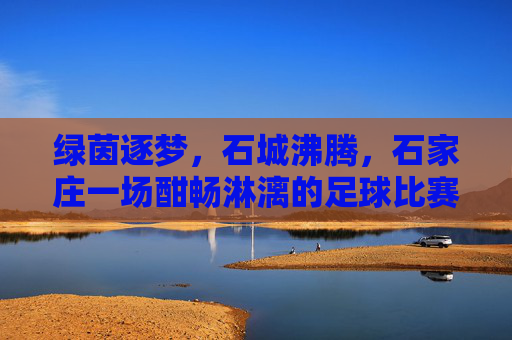 绿茵逐梦，石城沸腾，石家庄一场酣畅淋漓的足球比赛纪实，绿茵逐梦，石城沸腾，石家庄一场酣畅淋漓的足球比赛纪实