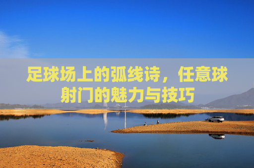 足球场上的弧线诗，任意球射门的魅力与技巧