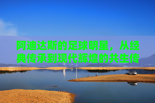阿迪达斯的足球明星，从经典传承到现代辉煌的共生传奇，阿迪达斯的足球明星，从经典传承到现代辉煌的共生传奇