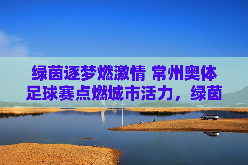 绿茵逐梦燃激情 常州奥体足球赛点燃城市活力，绿茵逐梦燃激情 常州奥体足球赛点燃城市活力