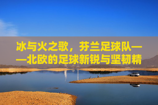 冰与火之歌,芬兰足球队——北欧的足球新锐与坚韧精神,冰与火之歌,芬兰足球队——北欧的足球新锐与坚韧精神