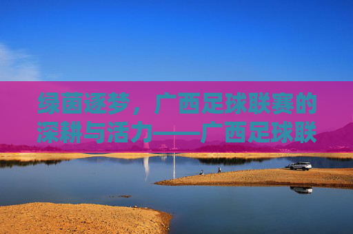 绿茵逐梦,广西足球联赛的深耕与活力——广西足球联赛的地域魅力与时代担当,绿茵逐梦,广西足球联赛的深耕与活力——广西足球联赛的地域魅力与时代担当