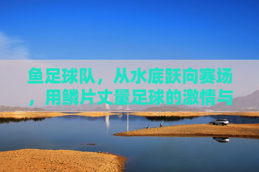鱼足球队，从水底跃向赛场，用鳞片丈量足球的激情与梦想，鱼足球队，从水底跃向赛场，用鳞片丈量足球的激情与梦想