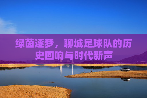 绿茵逐梦,聊城足球队的历史回响与时代新声