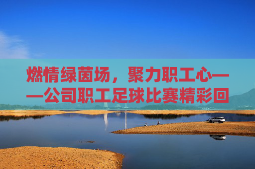 燃情绿茵场，聚力职工心——公司职工足球比赛精彩回顾，燃情绿茵场，聚力职工心——公司职工足球比赛精彩回顾