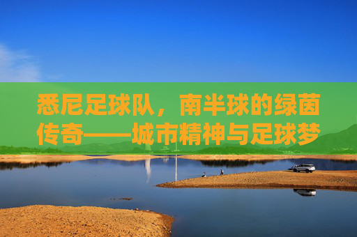 悉尼足球队,南半球的绿茵传奇——城市精神与足球梦想的交汇点