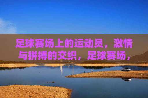 足球赛场上的运动员,激情与拼搏的交织,足球赛场,运动员的激情与拼搏交织