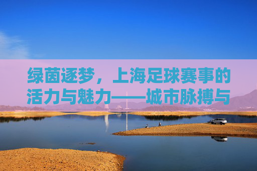 绿茵逐梦，上海足球赛事的活力与魅力——城市脉搏与绿茵热浪的精彩邂逅，绿茵逐梦，上海足球赛事的活力与魅力——城市脉搏与绿茵热浪的精彩邂逅