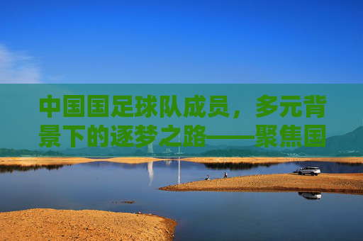 中国国足球队成员，多元背景下的逐梦之路——聚焦国家队球员的奋斗与担当，中国国足球队成员，多元背景下的逐梦之路——聚焦国家队球员的奋斗与担当