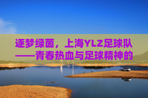 逐梦绿茵，上海YLZ足球队——青春热血与足球精神的集结地，逐梦绿茵，上海YLZ足球队——青春热血与足球精神的集结地