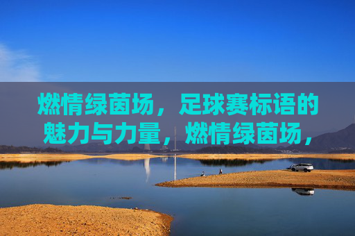 燃情绿茵场,足球赛标语的魅力与力量,燃情绿茵场,足球赛标语的魅力与力量