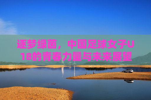 逐梦绿茵,中国足球女子U18的青春力量与未来展望