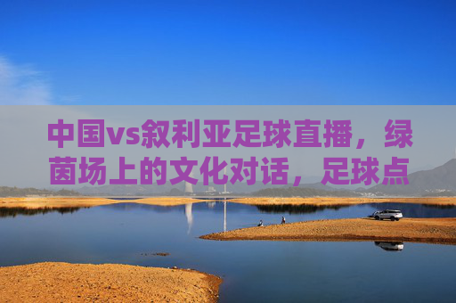 中国vs叙利亚足球直播,绿茵场上的文化对话,足球点燃两国友谊的激情火种,中叙足球对决,绿茵场上的文化对话,点燃两国友谊的激情火种