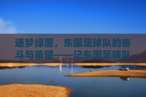 逐梦绿茵，东国足球队的奋斗与希望——记东国足球队的发展历程，逐梦绿茵，东国足球队的奋斗与希望——记东国足球队的发展历程