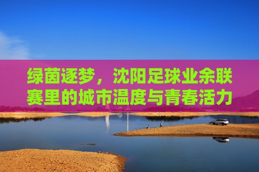 绿茵逐梦,沈阳足球业余联赛里的城市温度与青春活力,绿茵逐梦,沈阳足球业余联赛里的城市温度与青春活力