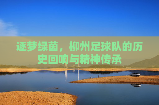 逐梦绿茵,柳州足球队的历史回响与精神传承