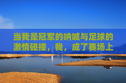当我是冠军的呐喊与足球的激情碰撞,我,成了赛场上的那抹亮色,当冠军呐喊与足球激情碰撞,我,成为赛场上的亮色