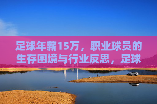 足球年薪15万,职业球员的生存困境与行业反思,足球年薪15万,职业球员的生存困境与行业反思