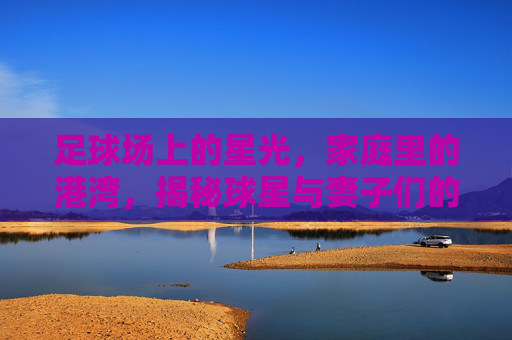足球场上的星光，家庭里的港湾，揭秘球星与妻子们的足球+爱故事，足球场上的星光，家庭里的港湾，揭秘球星与妻子的足球爱故事